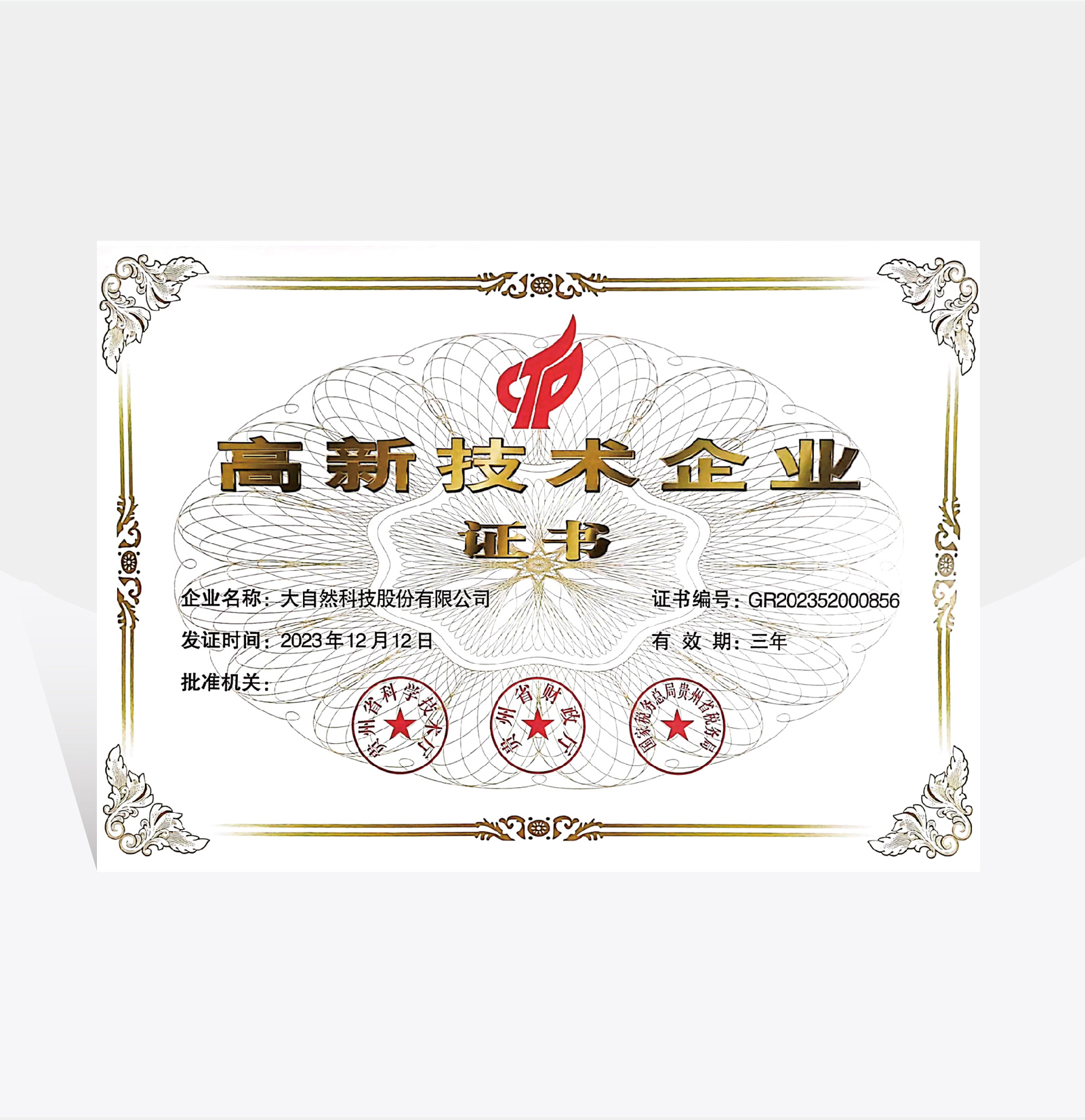 高新技術(shù)企業(yè)